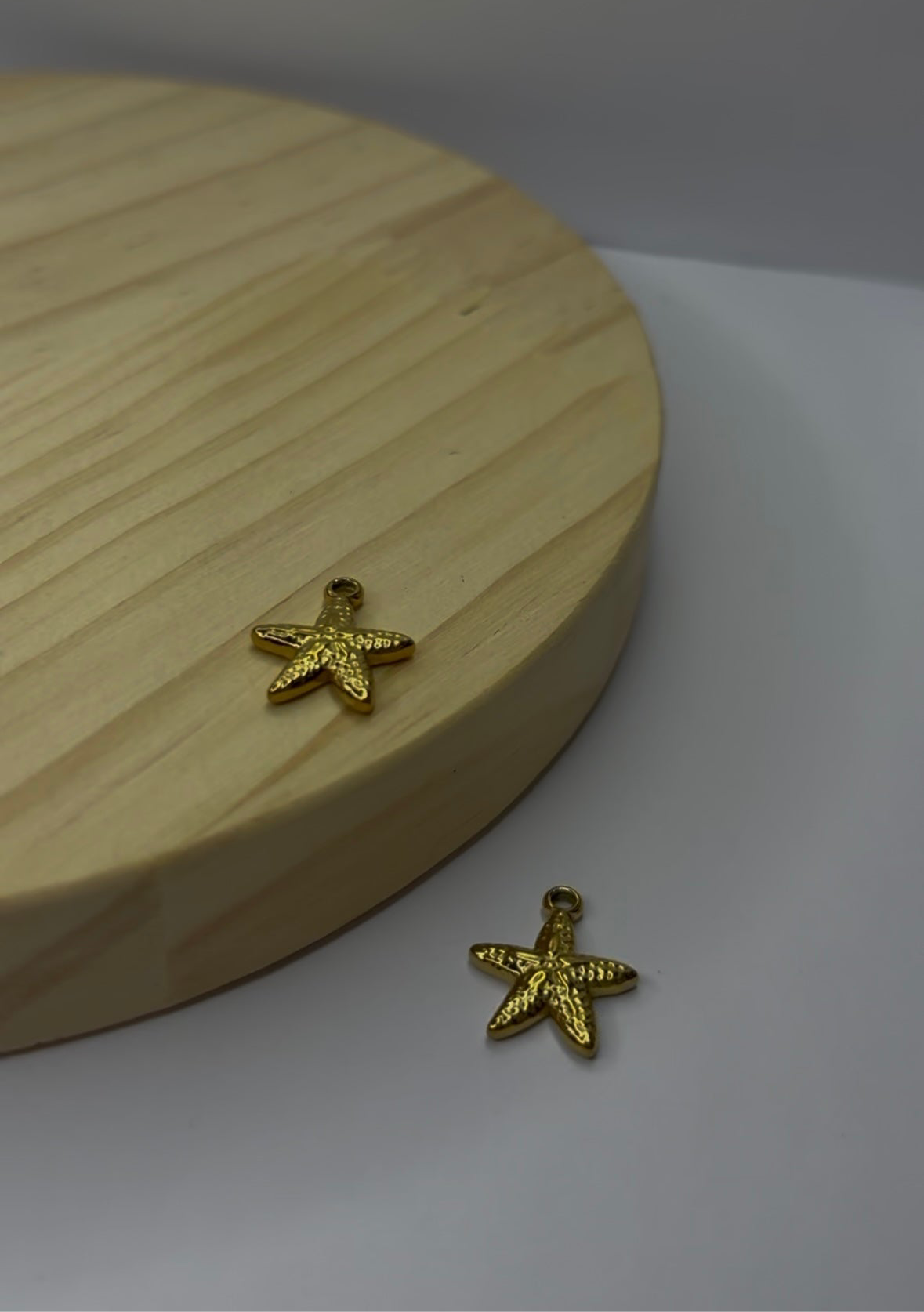 Estrella de mar Charm