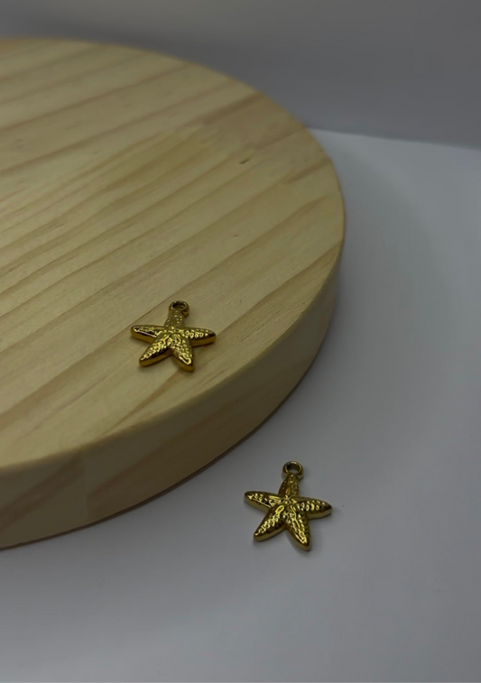 Estrella de mar Charm